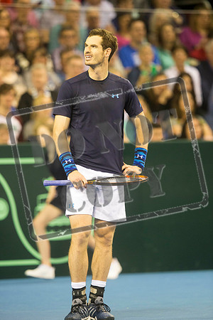 TENNIS Davis Cup