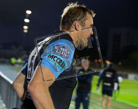 glasgow warriors