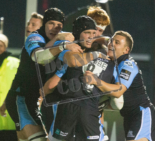 glasgow warriors