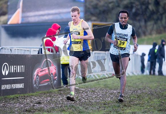Great winter run