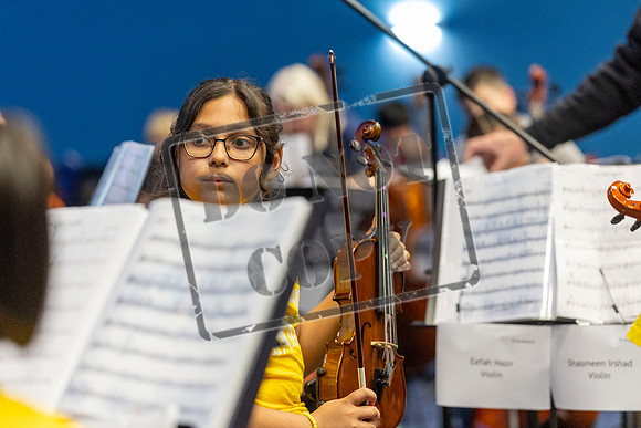 Summer Concert