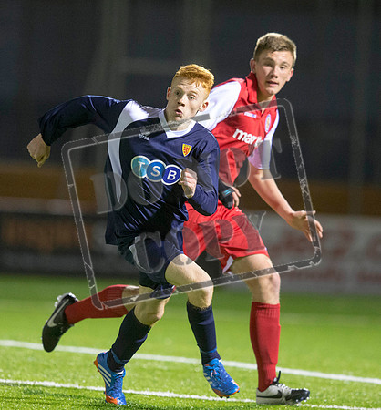 scotland v wales