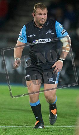 glasgow warriors