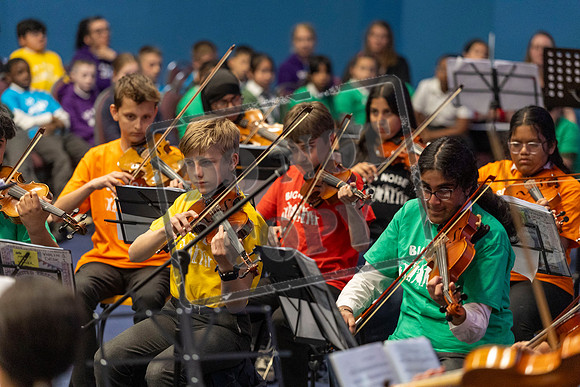 Summer Concert