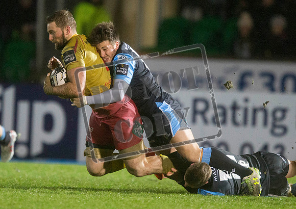 warriors v scarlets