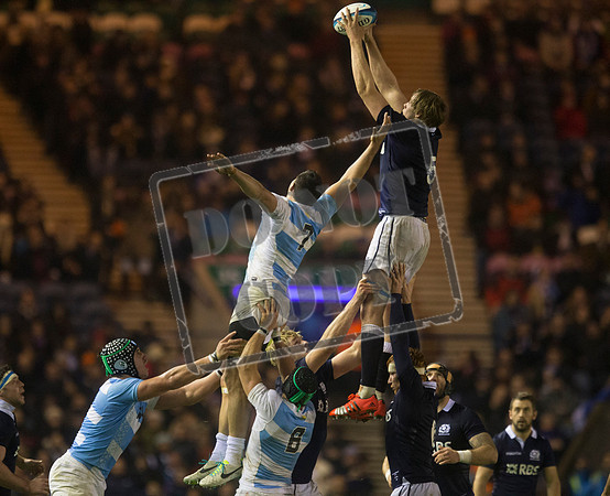 RUGBYU Scotland
