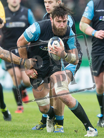 warriors v toulouse