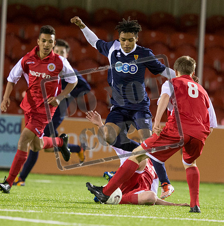 scotland v wales