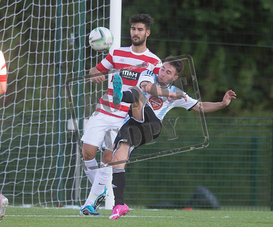 Hamilton v hearts