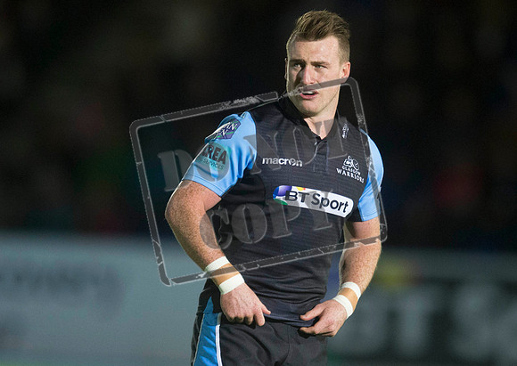 glasgow warriors