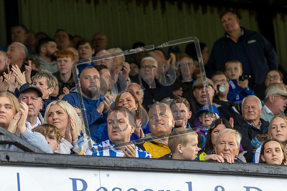 Ayr Utd v Kilmarnock