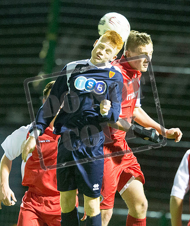 scotland v wales