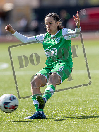 Hibs v Hearts