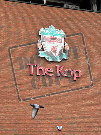 liverpool fc