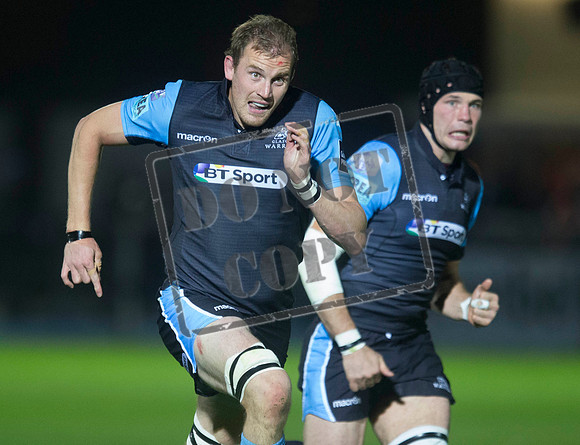 glasgow warriors