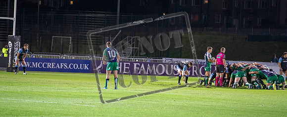 glasgow warriors