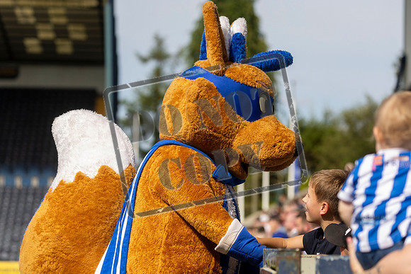 Kilmarnock v St Johnstone