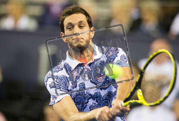 TENNIS Davis Cup