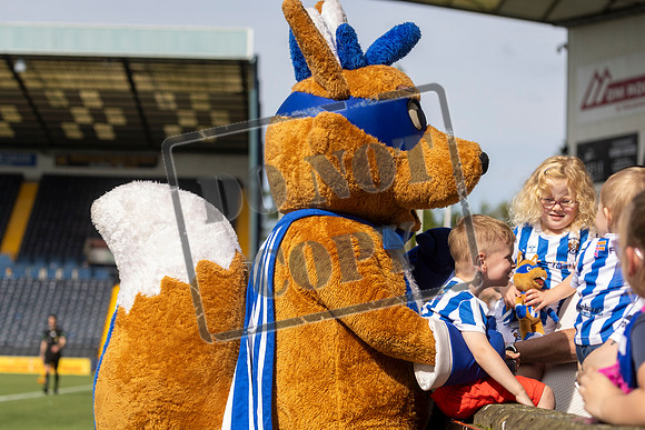Kilmarnock v St Johnstone