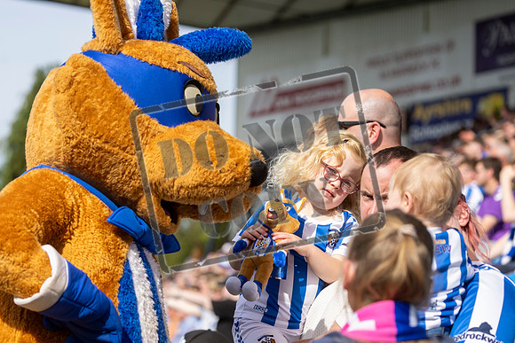 Kilmarnock v St Johnstone