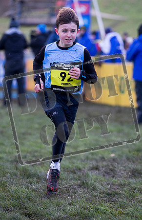 Great winter run