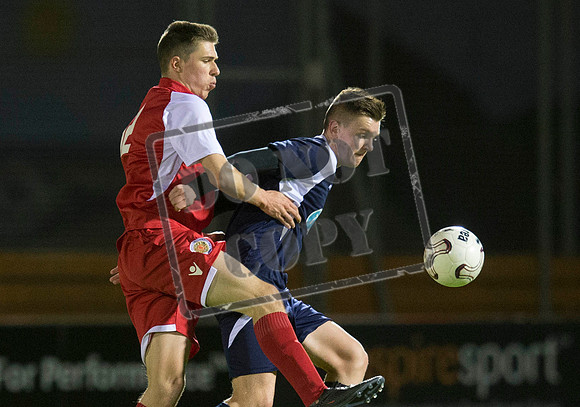 scotland v wales