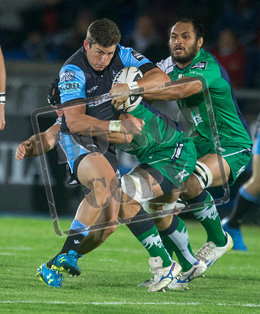 glasgow warriors