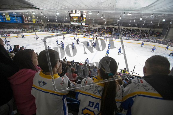ice hockey