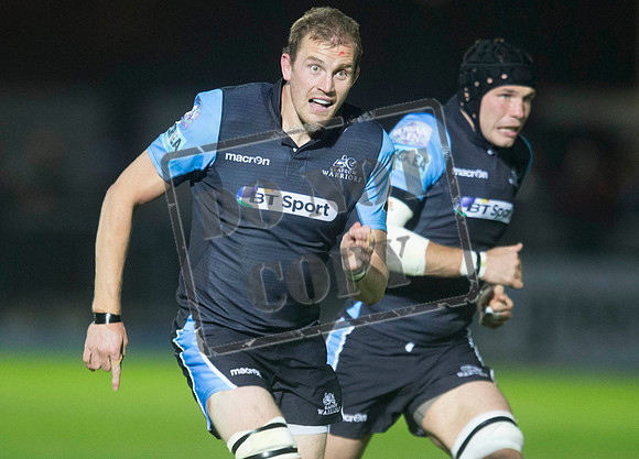 glasgow warriors
