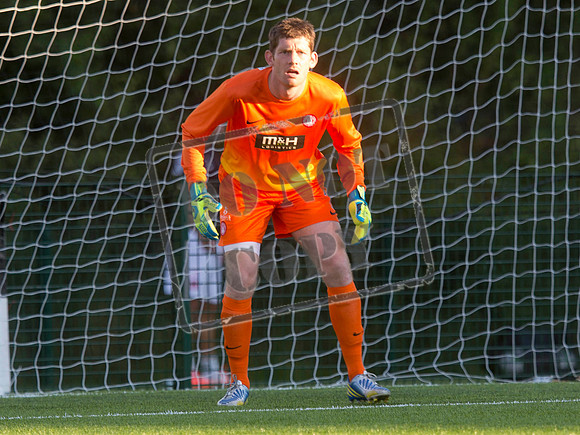Hamilton v hearts
