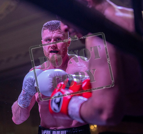 Fightzone boxing