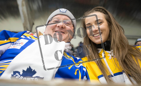 ice hockey