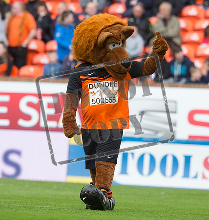 SOCCER Dundee Utd