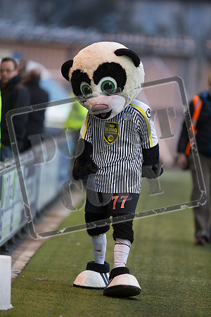 SOCCER St Mirren