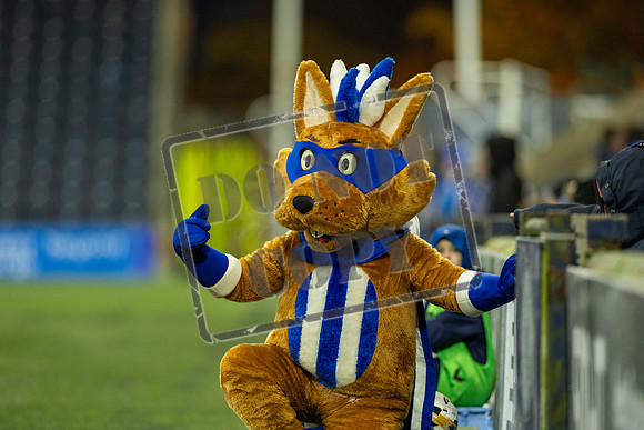 Kilmarnock v Motherwell