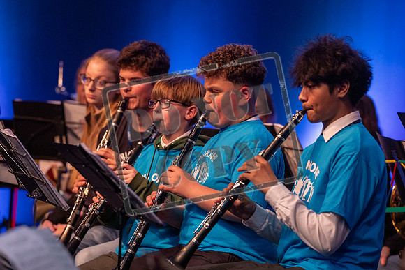 Summer Concert